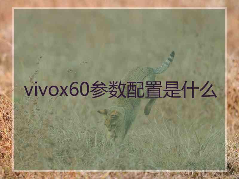 vivox60参数配置是什么