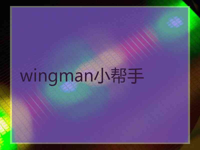 wingman小帮手