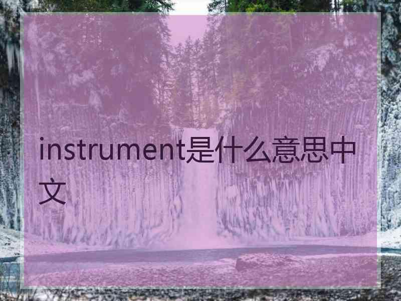 instrument是什么意思中文