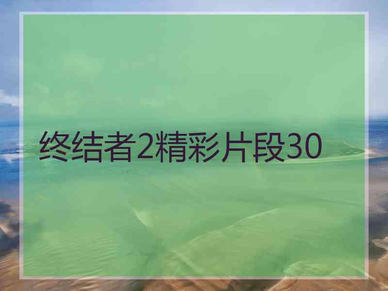 终结者2精彩片段30