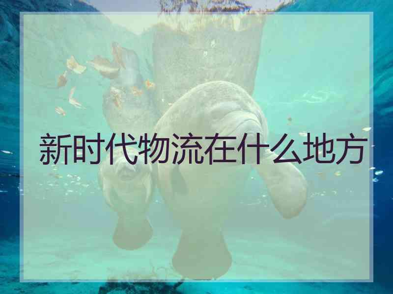 新时代物流在什么地方