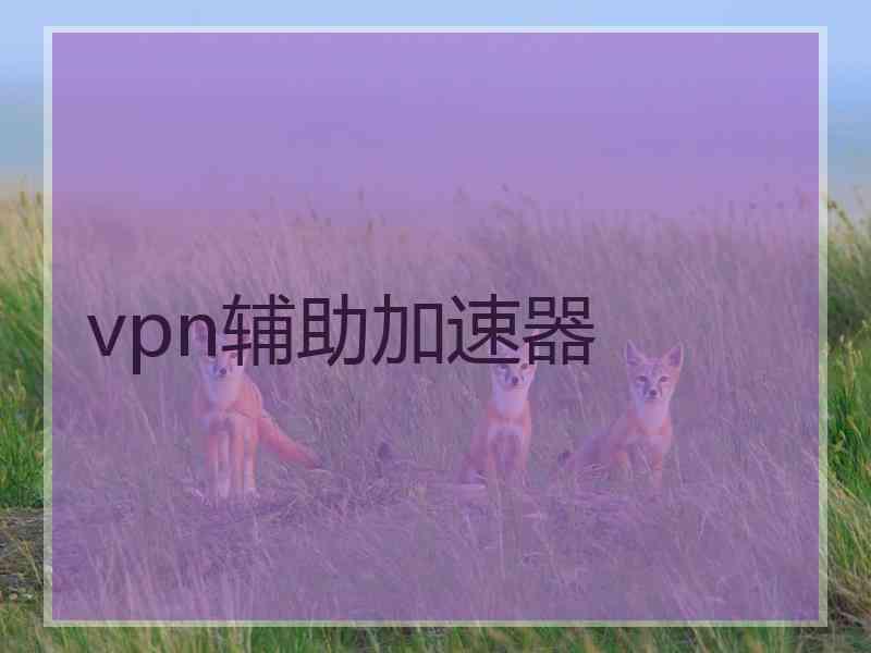 vpn辅助加速器