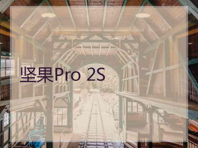 坚果Pro 2S