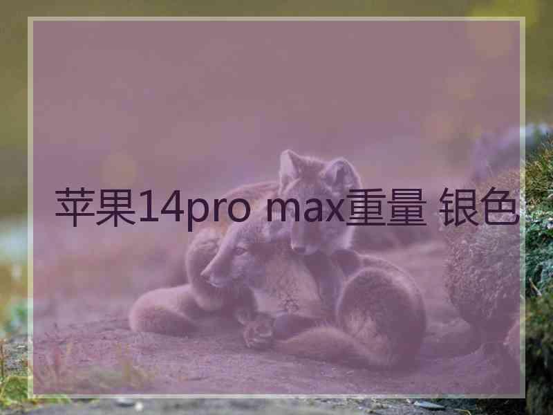 苹果14pro max重量 银色