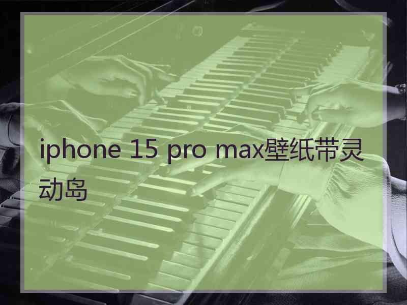 iphone 15 pro max壁纸带灵动岛