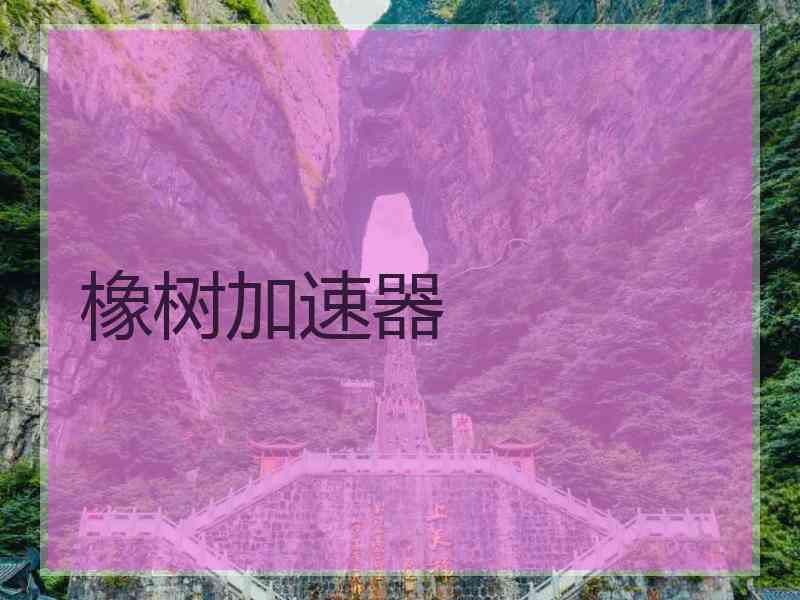 橡树加速器