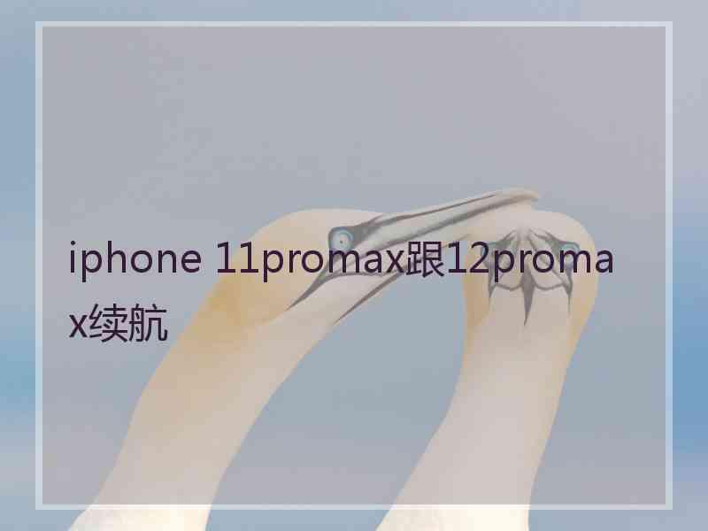 iphone 11promax跟12promax续航