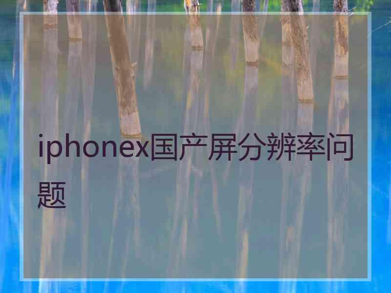 iphonex国产屏分辨率问题