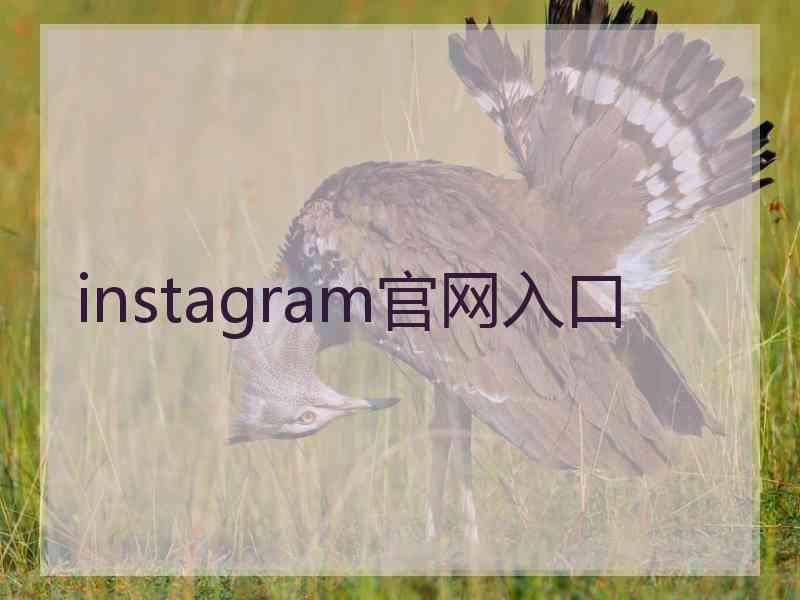 instagram官网入口