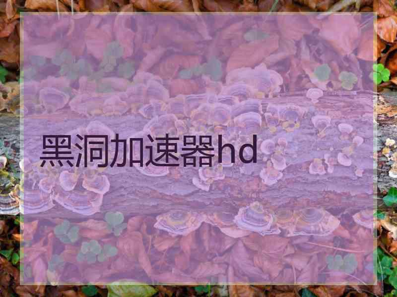 黑洞加速器hd