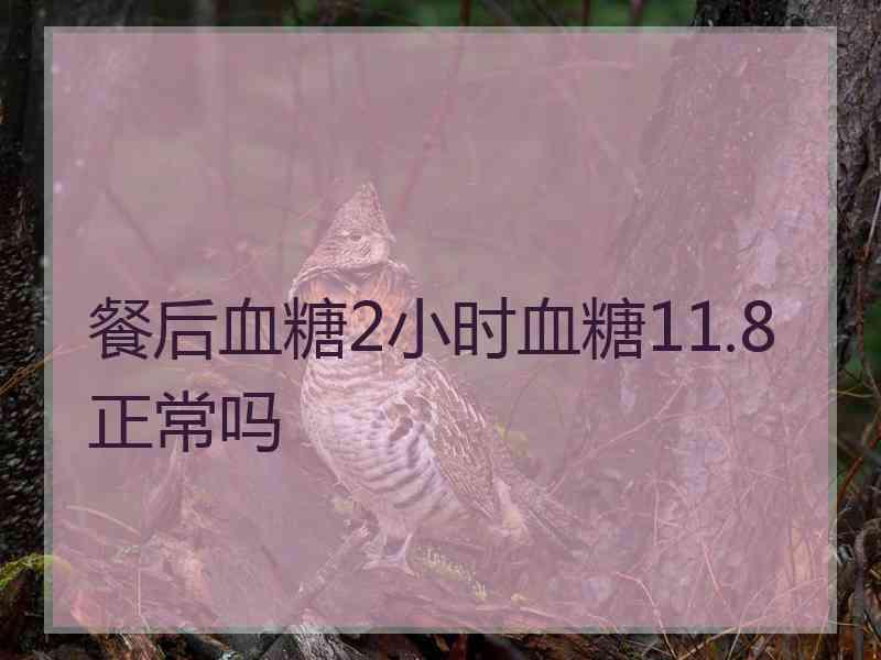 餐后血糖2小时血糖11.8正常吗