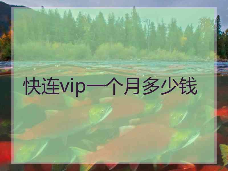 快连vip一个月多少钱