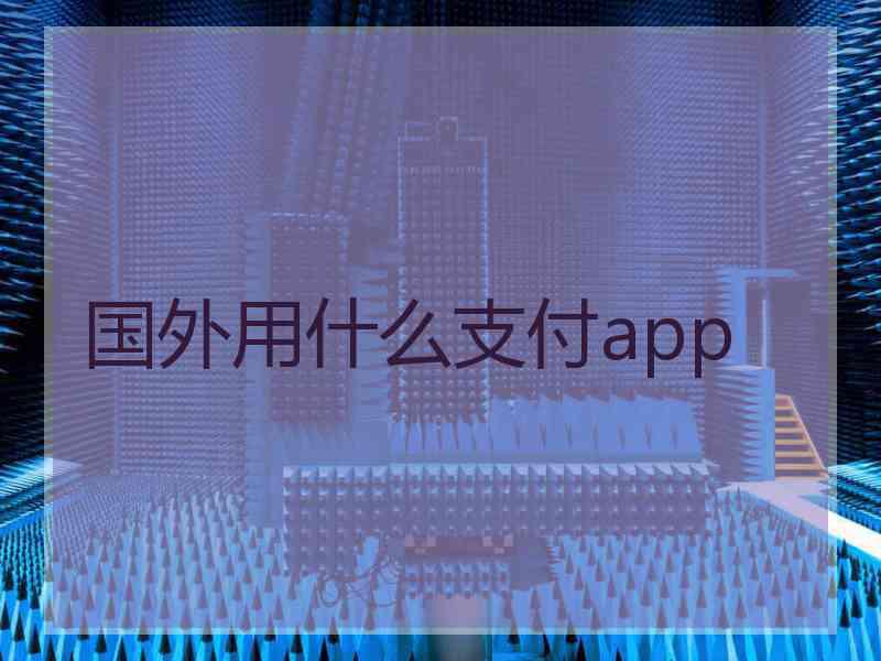 国外用什么支付app