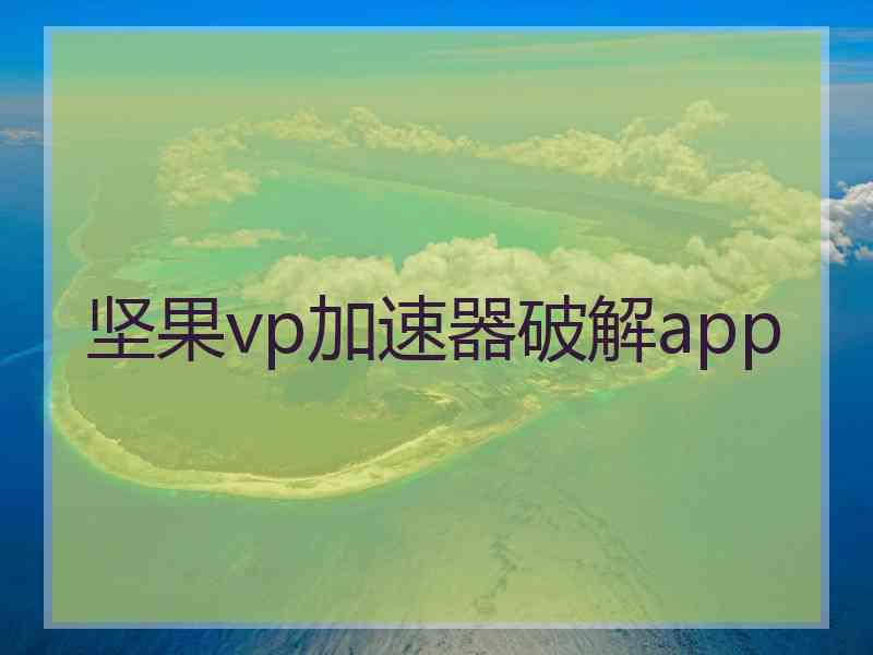 坚果vp加速器破解app