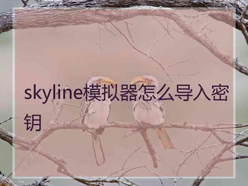 skyline模拟器怎么导入密钥