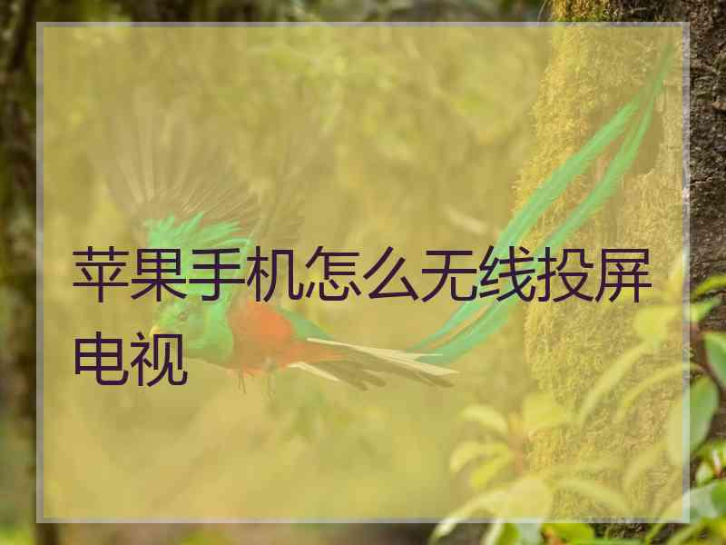 苹果手机怎么无线投屏电视