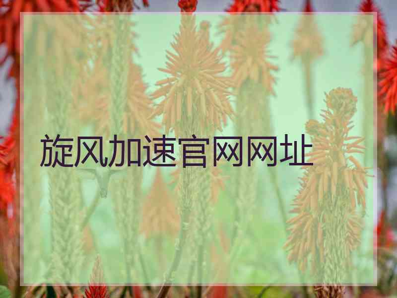 旋风加速官网网址