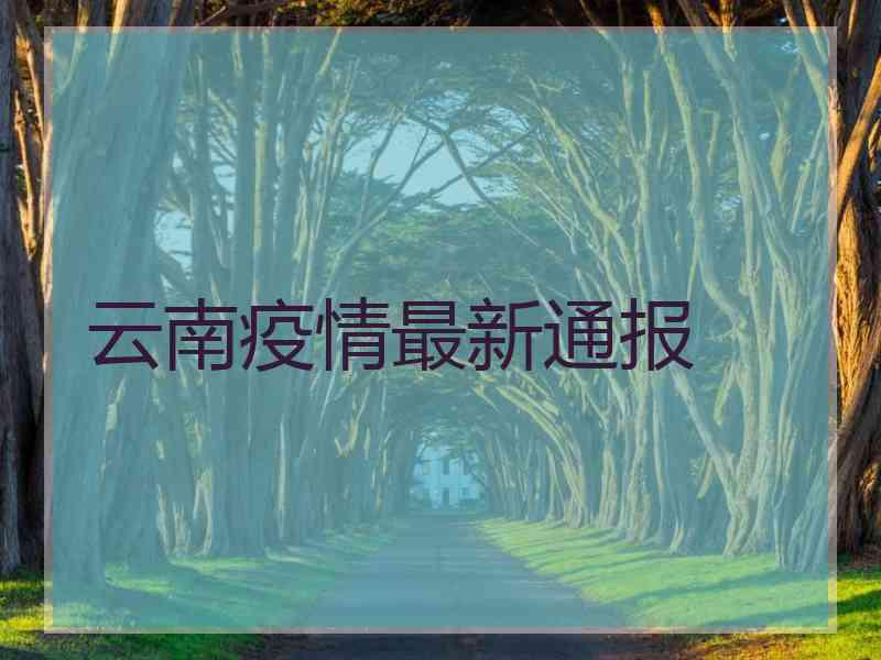 云南疫情最新通报