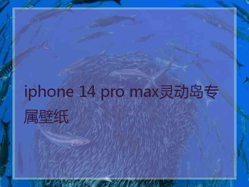 iphone 14 pro max灵动岛专属壁纸