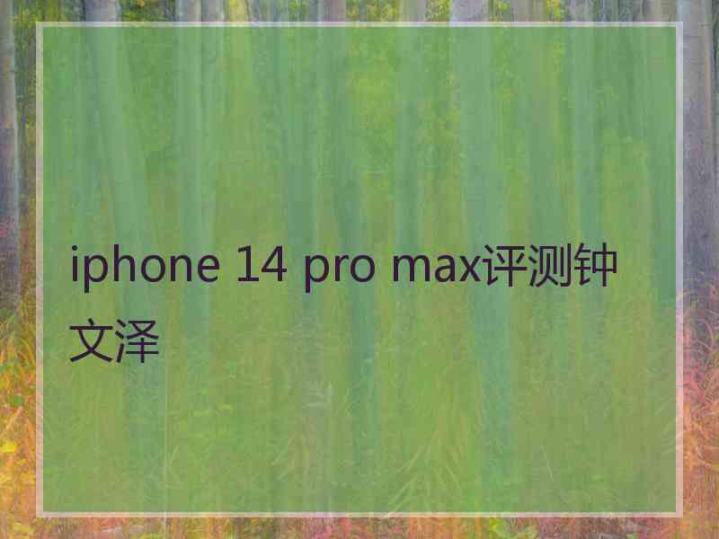 iphone 14 pro max评测钟文泽