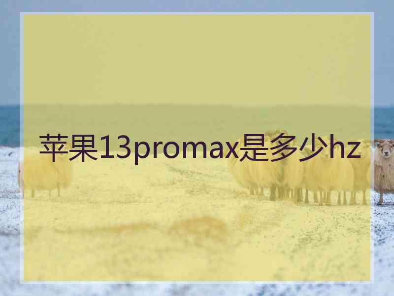 苹果13promax是多少hz