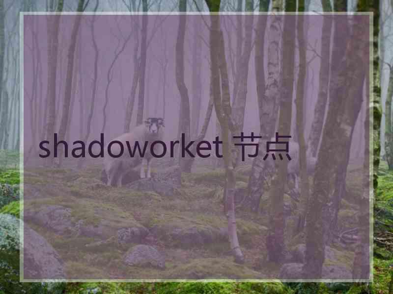 shadoworket 节点