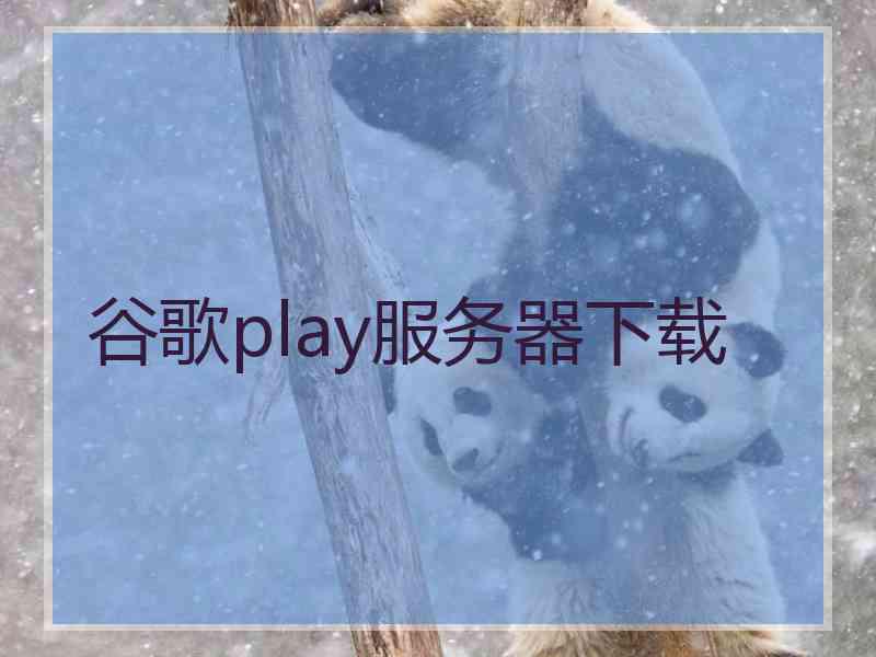 谷歌play服务器下载