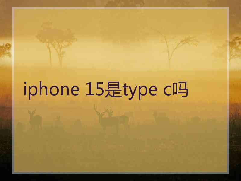 iphone 15是type c吗