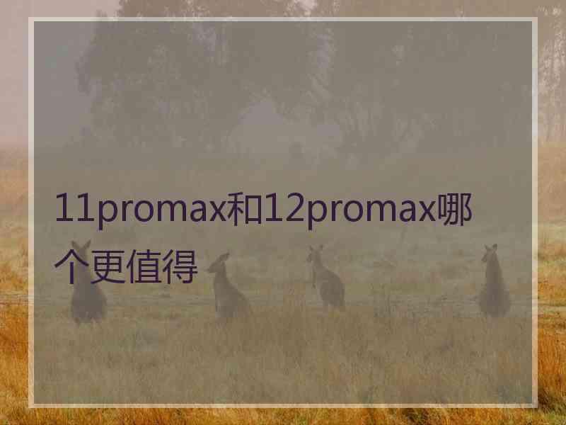 11promax和12promax哪个更值得