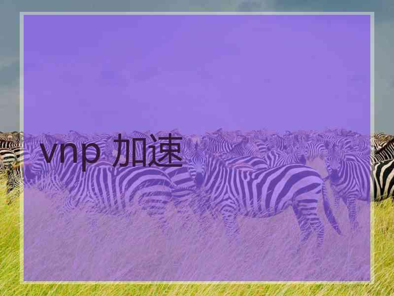 vnp 加速