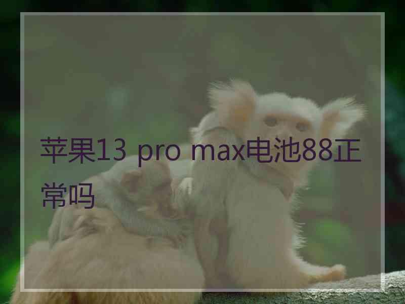 苹果13 pro max电池88正常吗