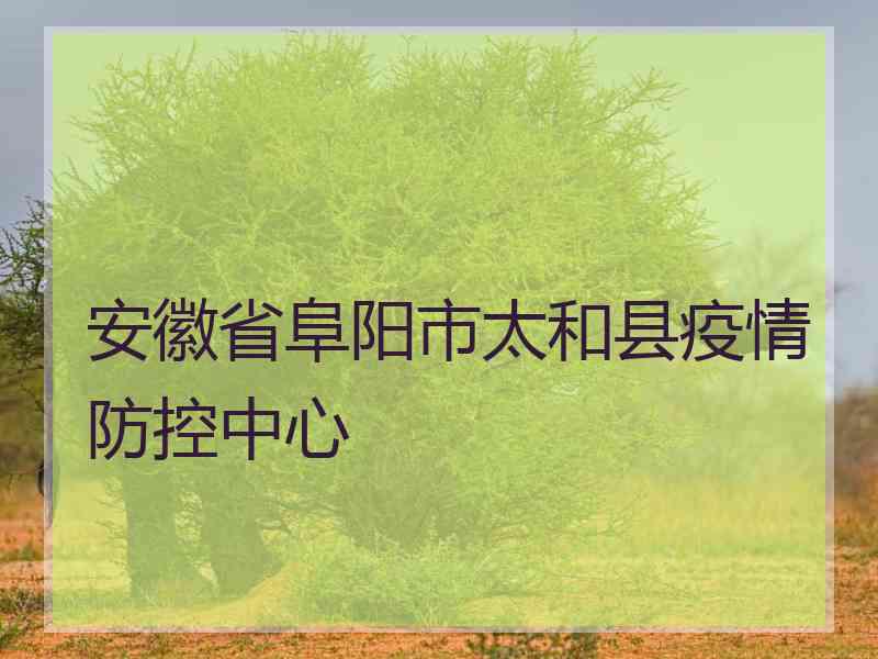 安徽省阜阳市太和县疫情防控中心