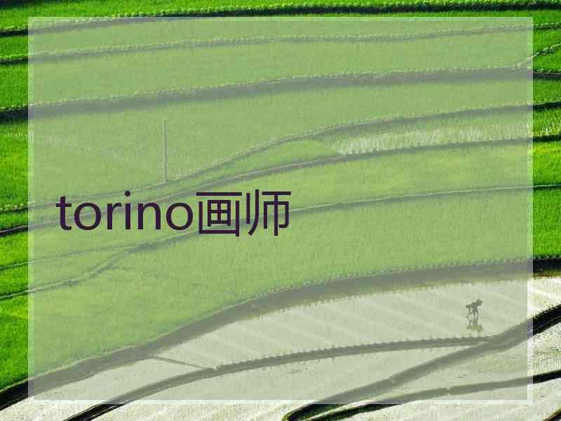 torino画师