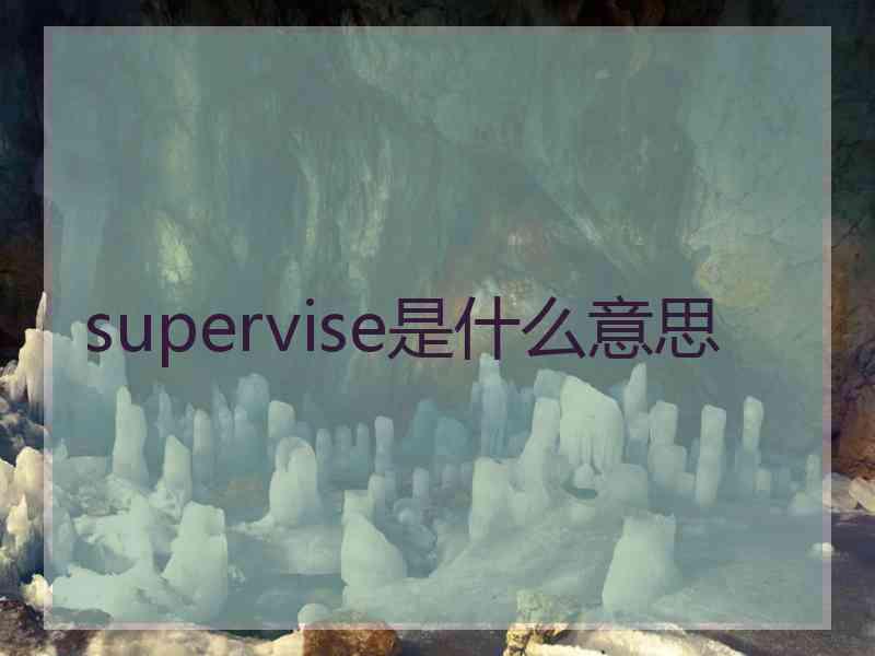 supervise是什么意思