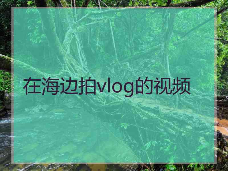 在海边拍vlog的视频