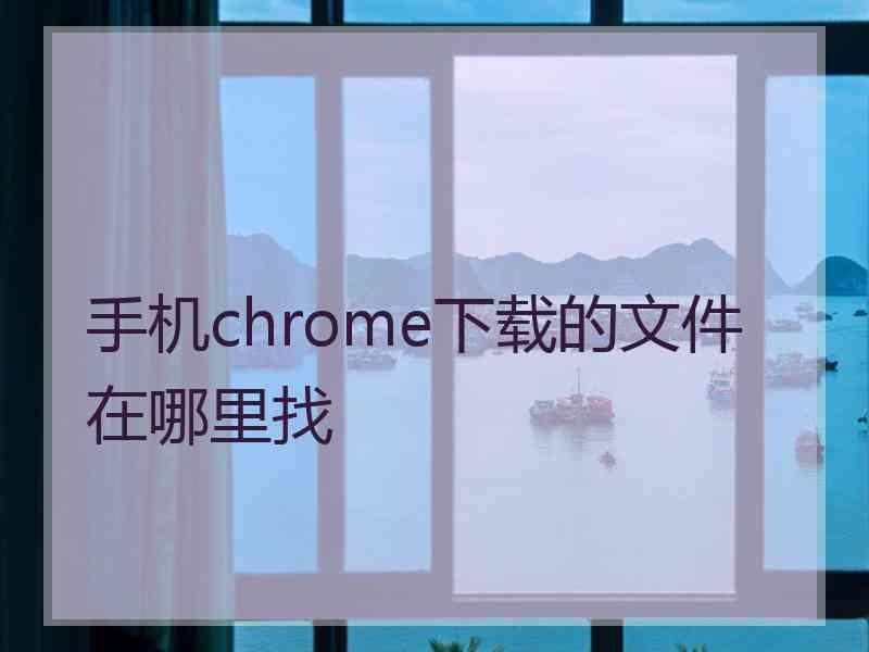 手机chrome下载的文件在哪里找