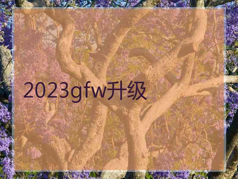 2023gfw升级