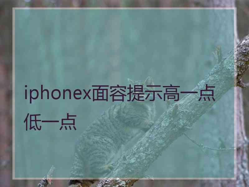 iphonex面容提示高一点低一点