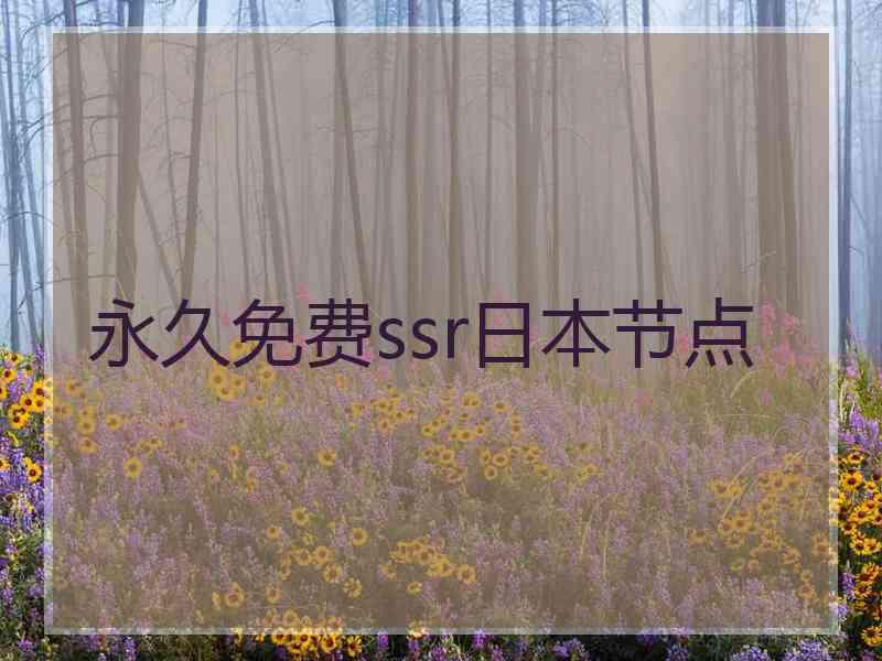 永久免费ssr日本节点