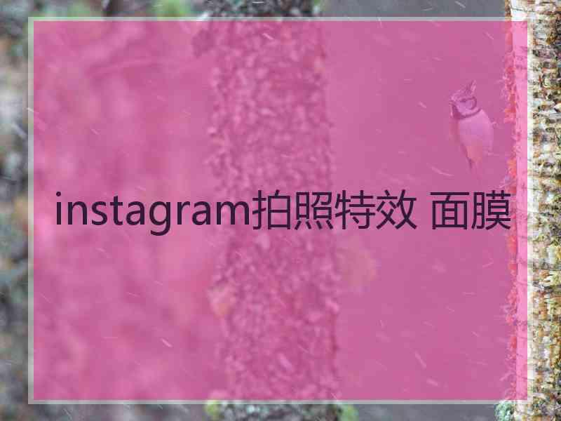 instagram拍照特效 面膜