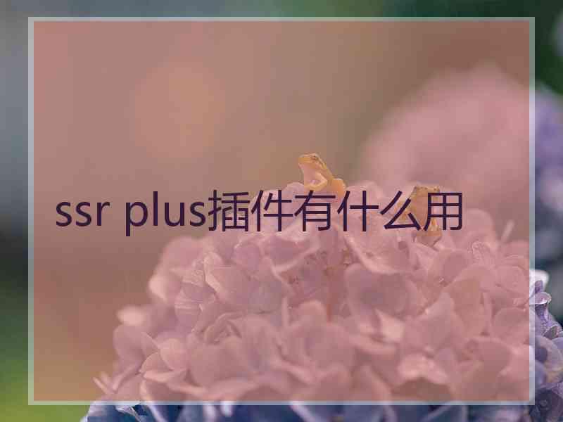 ssr plus插件有什么用