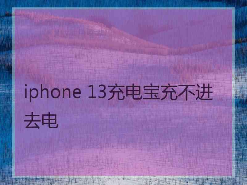 iphone 13充电宝充不进去电