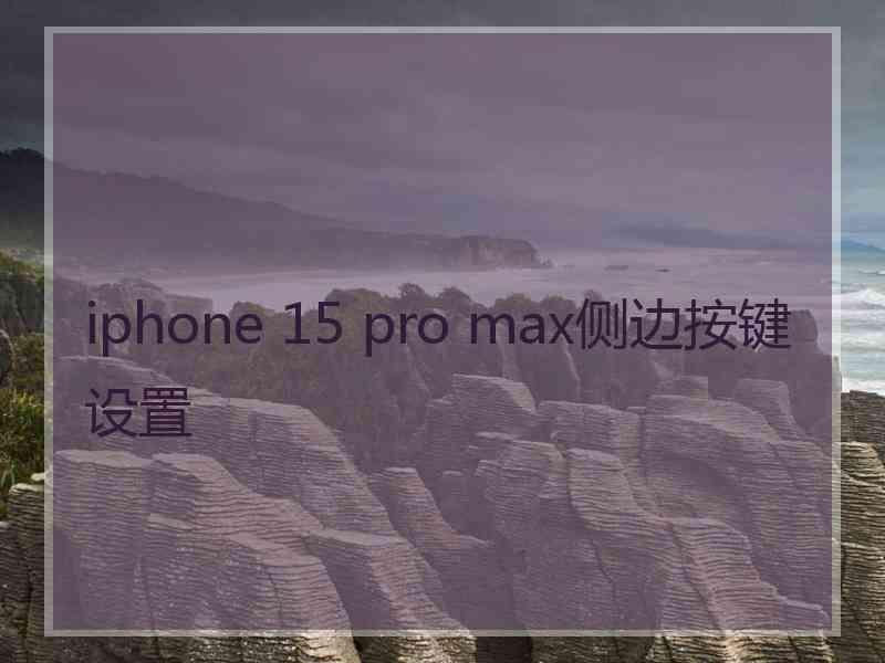 iphone 15 pro max侧边按键设置