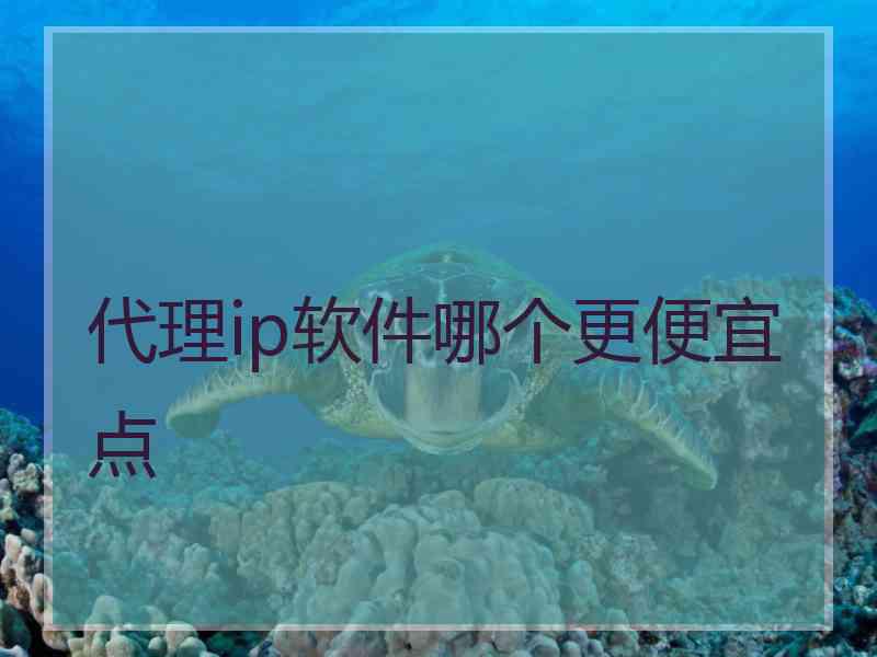 代理ip软件哪个更便宜点