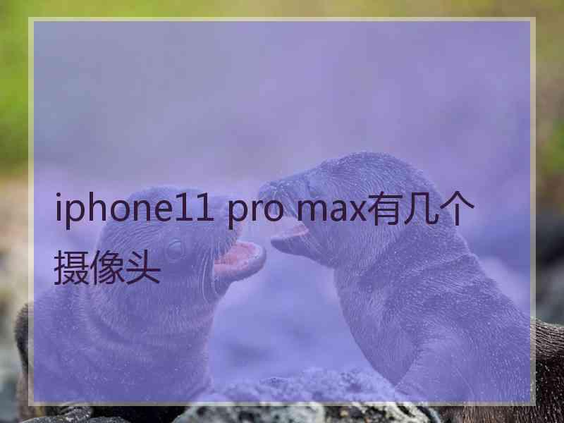 iphone11 pro max有几个摄像头