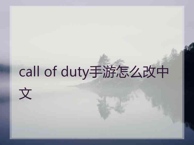 call of duty手游怎么改中文