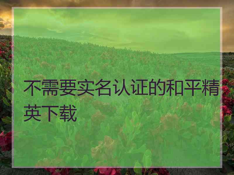 不需要实名认证的和平精英下载