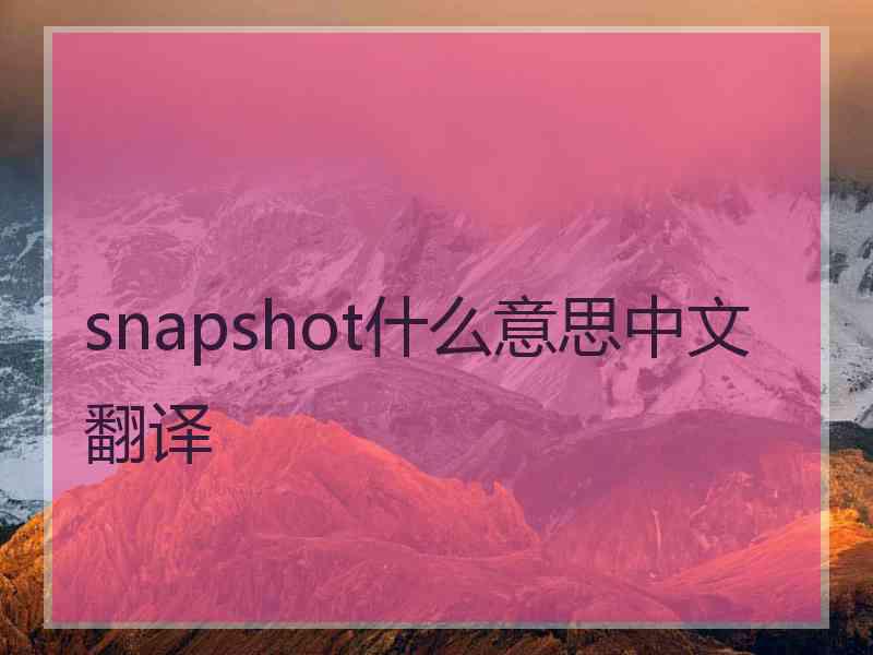 snapshot什么意思中文翻译