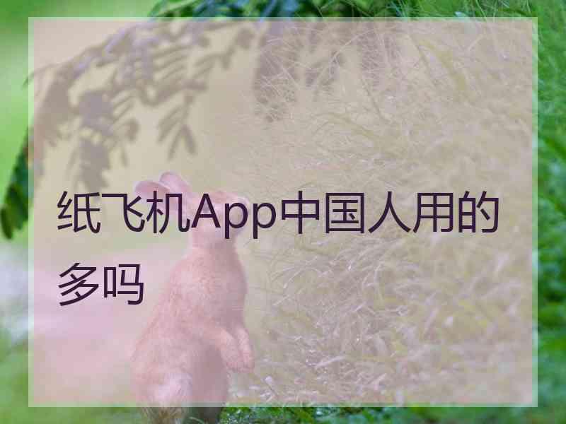 纸飞机App中国人用的多吗