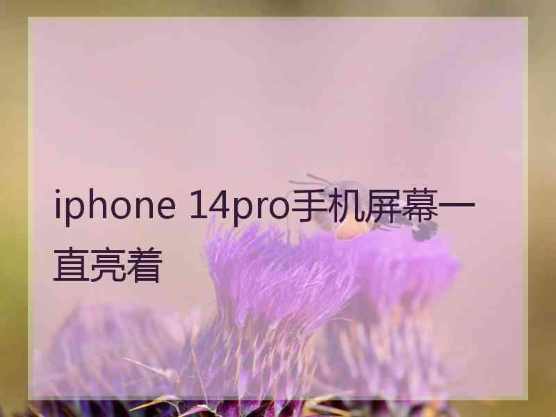 iphone 14pro手机屏幕一直亮着